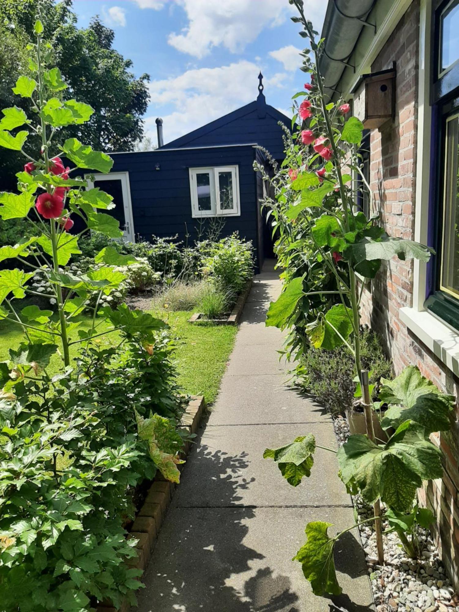 B&B De Verre Kijker Barsingerhorn Exteriör bild